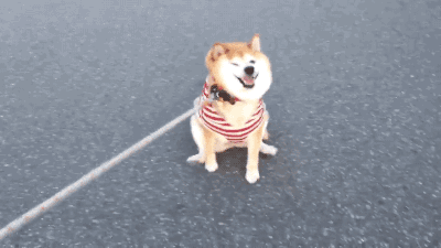 先把生物钟调整过来～乖～健身减肥的目标不是健康吗?