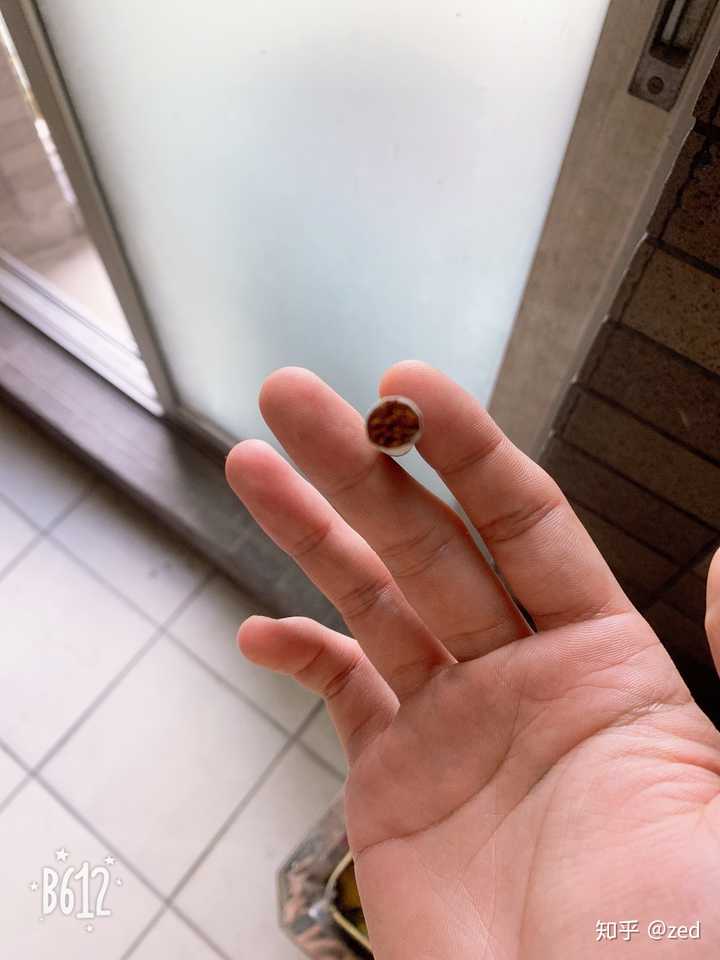 抽烟不回龙过肺吗?