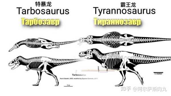 暴君勇士特暴龙tarbosaurus