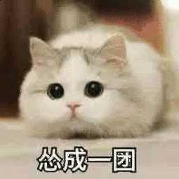有哪些适合发给女朋友的表情包?(本人女)?