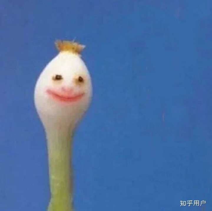 爸爸对我的网名头像发起了进攻,家长中意的到底是什么样的?
