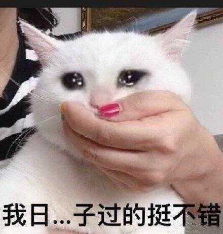有没有一看就觉得特别可爱的表情包?