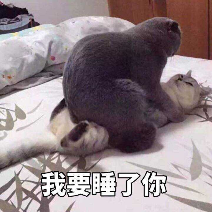 哪些表情包可以用来撩妹