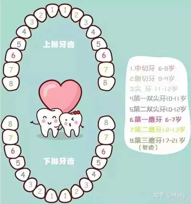 还有20天才五周岁的小孩,门牙晃动,应该是要换牙了,是