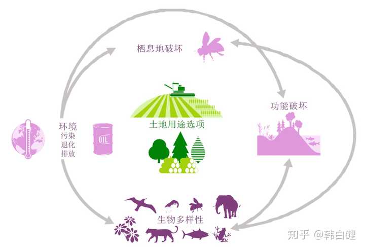 土地用途对生物多样性的负面影响