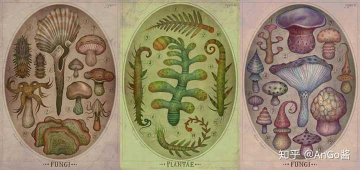 由于其对自然科学与幻想童话的热爱,经常在其作品中看到他将两个喜好