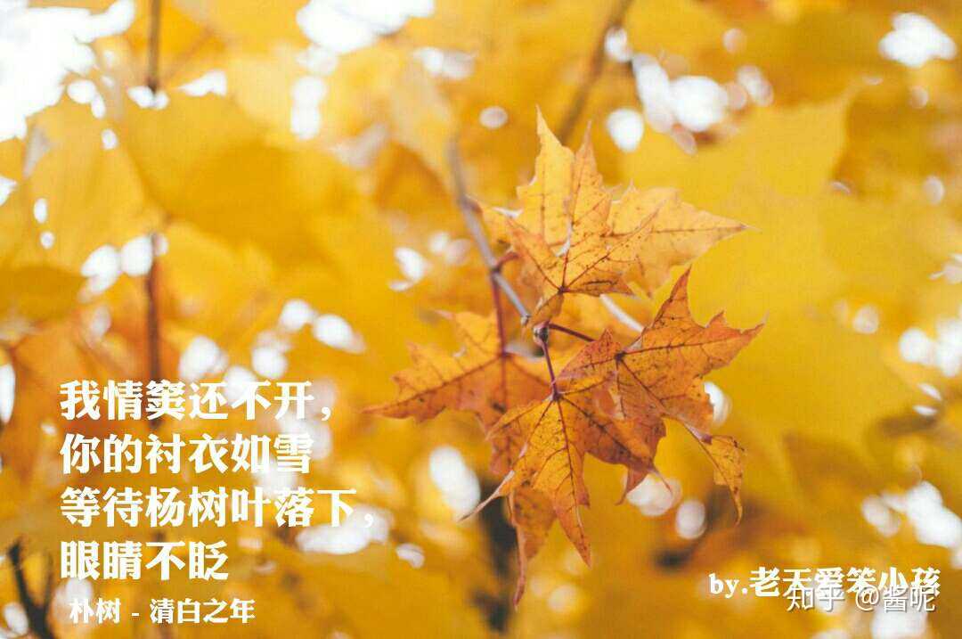 秋天来了,有一丝凉意!