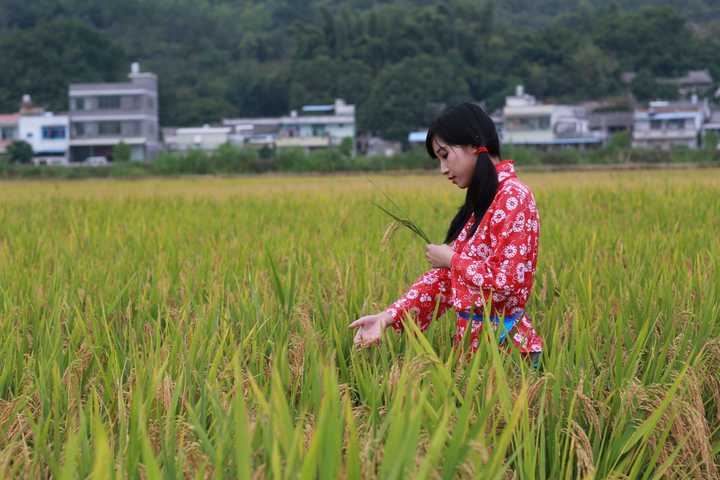 不一定 农村小姑娘也很美 大多数都是那种朴素的美 大概没有城市女孩