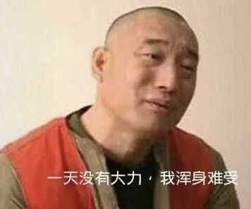 有哪些有趣的成果/诸葛大力表情包?