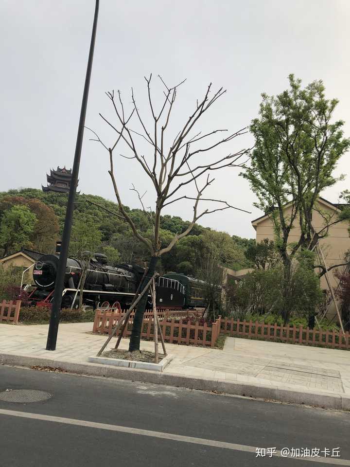 西山公园