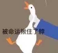 仿佛被命运揪主了脖子