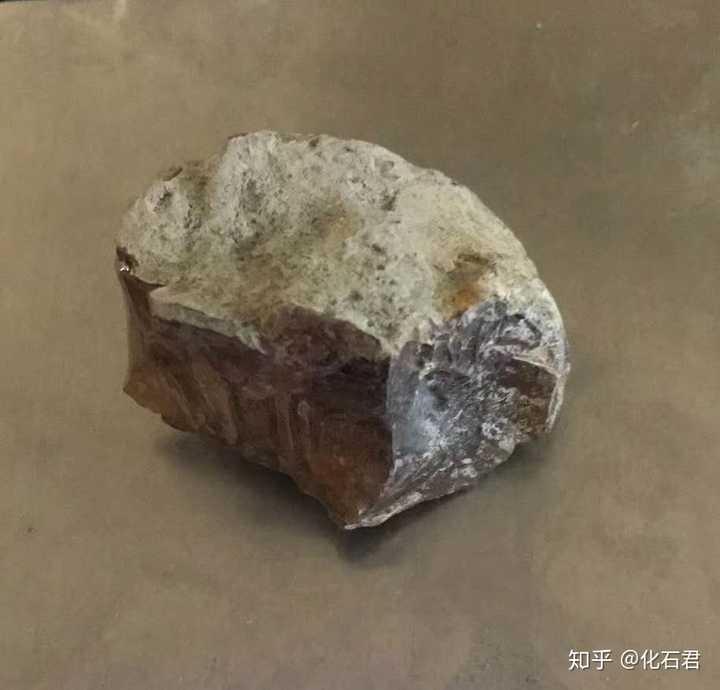 琥珀原石,外部包裹有厚厚的皮,皮多为树木变成品质较差的煤或者沉积物