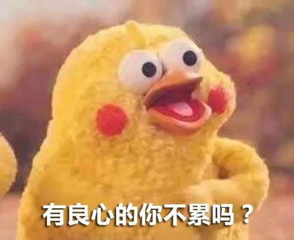 续更… 安排系列: …………………………………………………… 鹦鹉