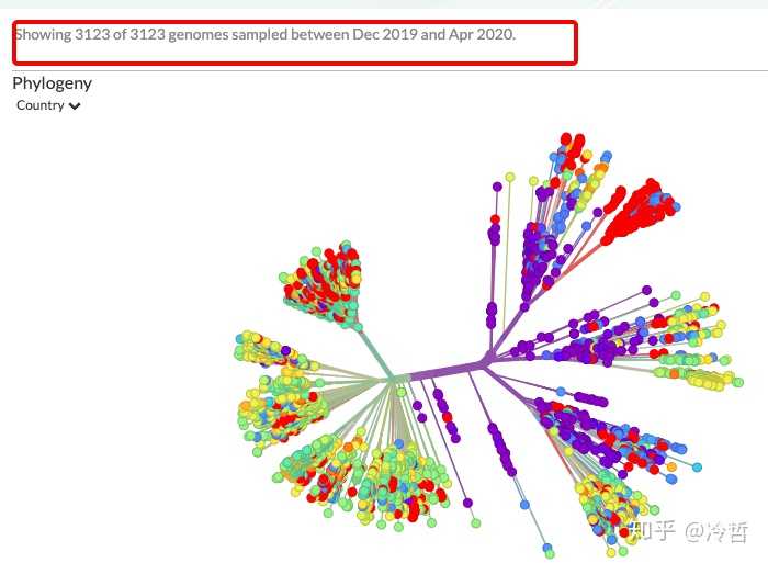 剑桥大学研究称新冠病毒分三个变种,a 类病毒为「爆发根源,更多发现