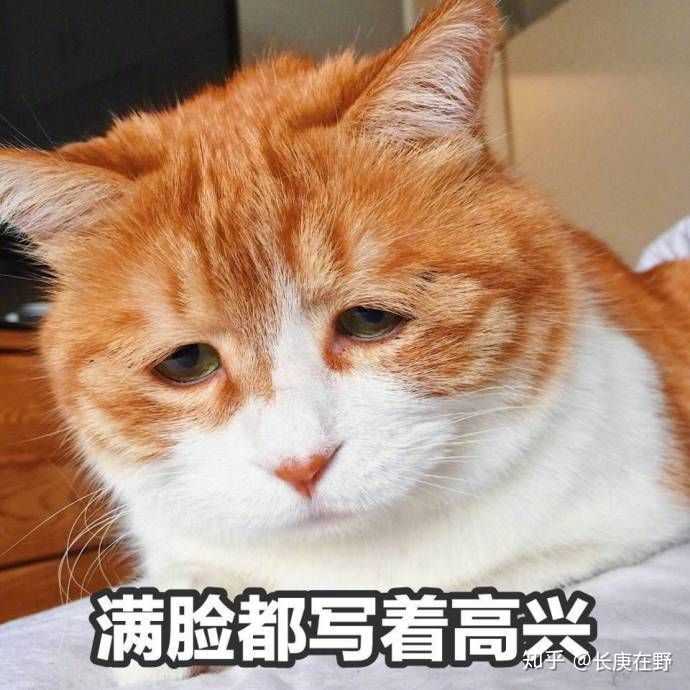 求求玄机做个人吧!