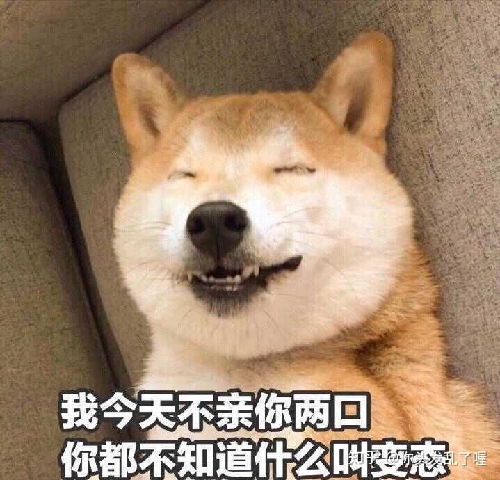 有哪些安慰别人的表情包?