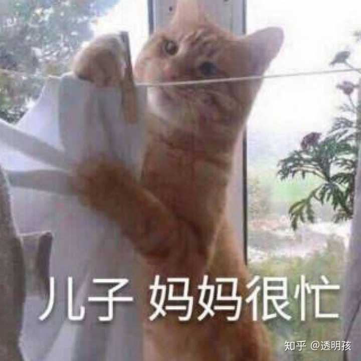 有哪些沙雕搞笑的头像?