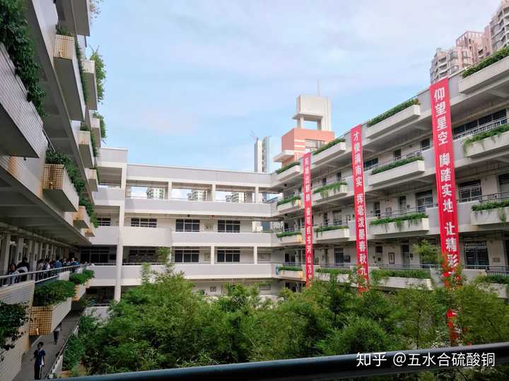 在深圳市南山实验学校麒麟中学部就读是怎样一种体验?