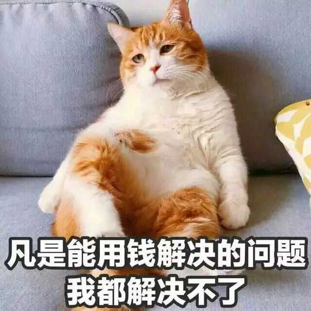 手机里有哪些搞笑 欠揍 可爱的表情包 ?