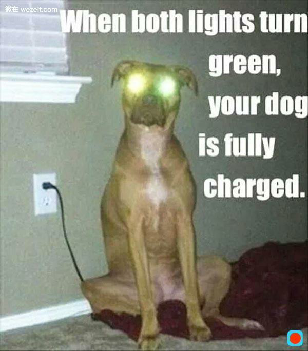 当一名人民大学的男学生是怎样一种体验? - 知