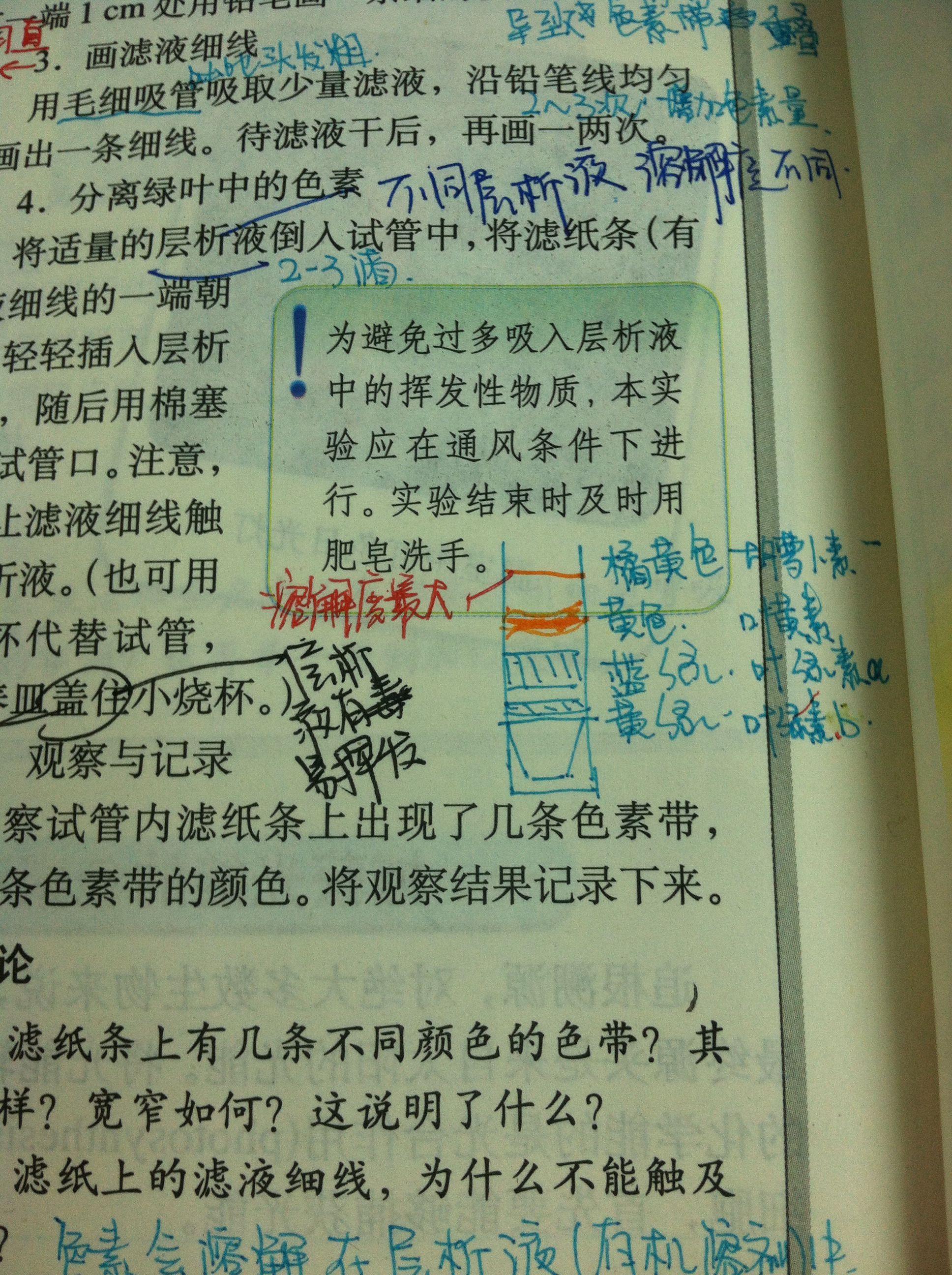 为什么高中叶绿体提取色素的实验中 实验原理说溶解度大的色素在滤纸