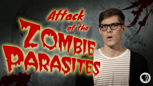 it's okay to be smart 是怎么制作的? - 视频剪辑