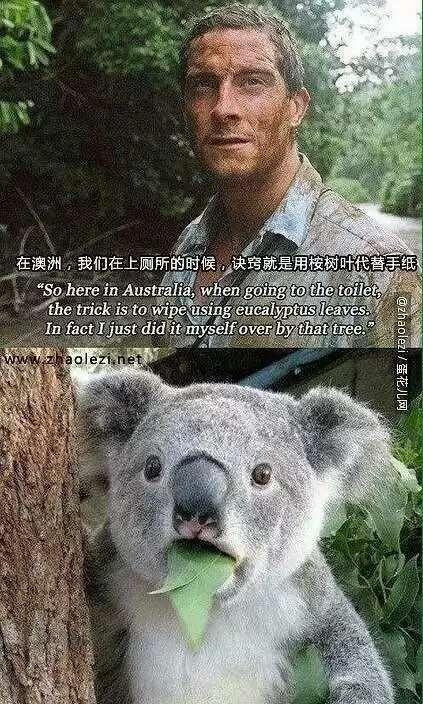 你见过什么看一遍就忍不住笑的图片?