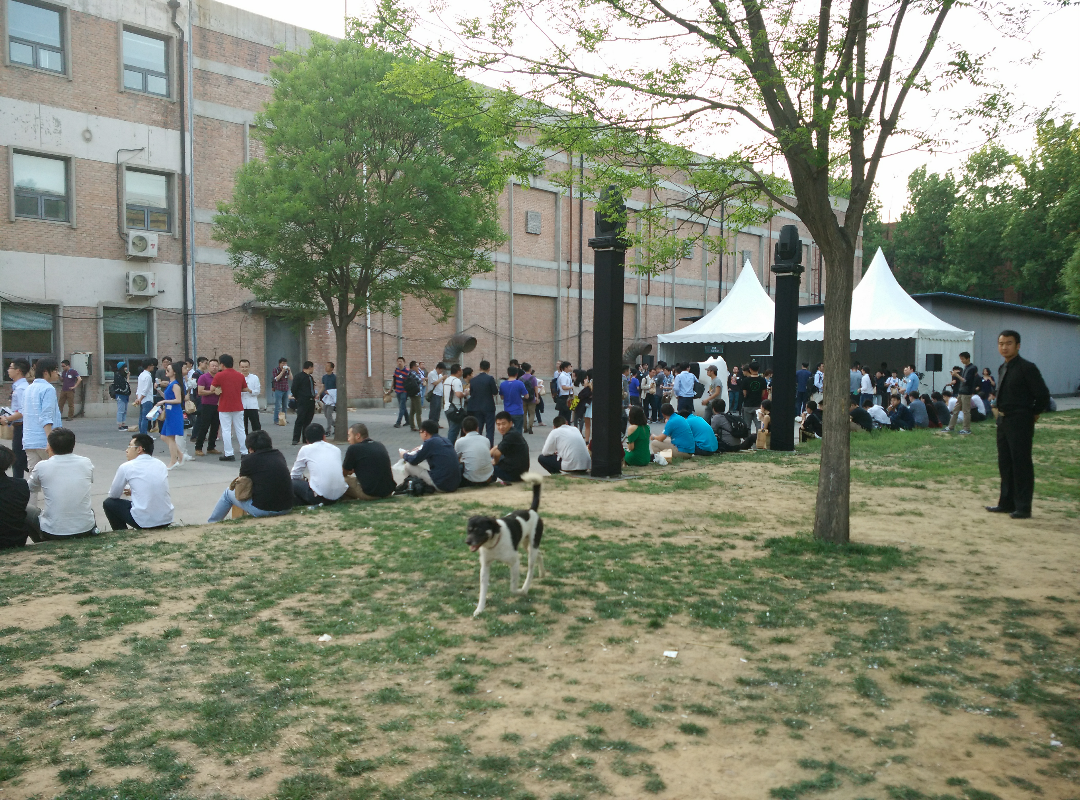 参加「知乎盐Club 2014」是一种怎样的体验?