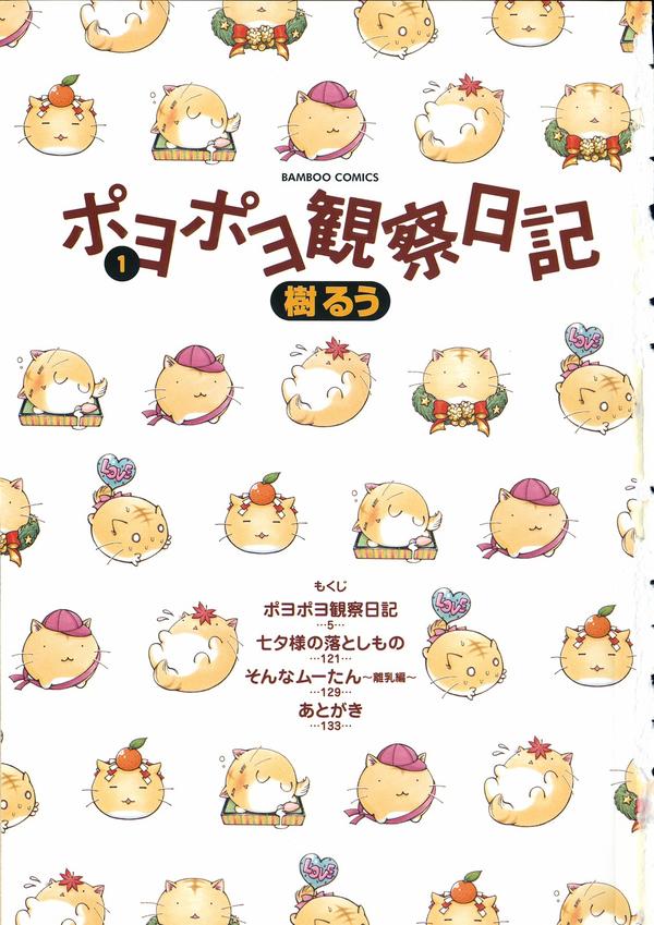 嘟嘟猫观察日记