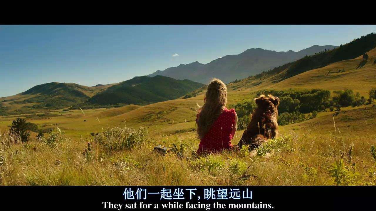 如何评价电影《少年斯派维的奇异旅行》?