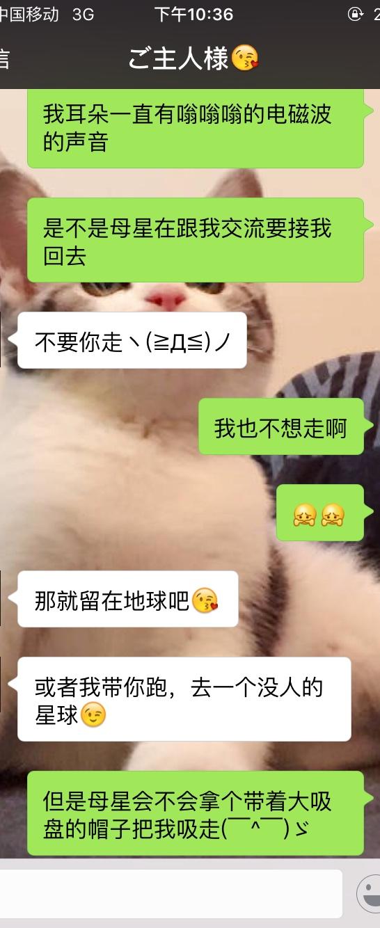 你和恋人发过最记忆深刻的短信/微信/段子是什么?