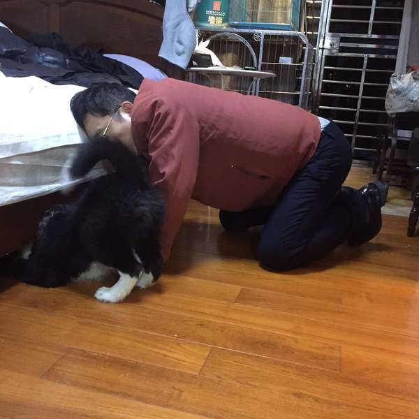 [​IMG]