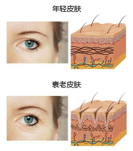 眼霜真的有用吗？图3