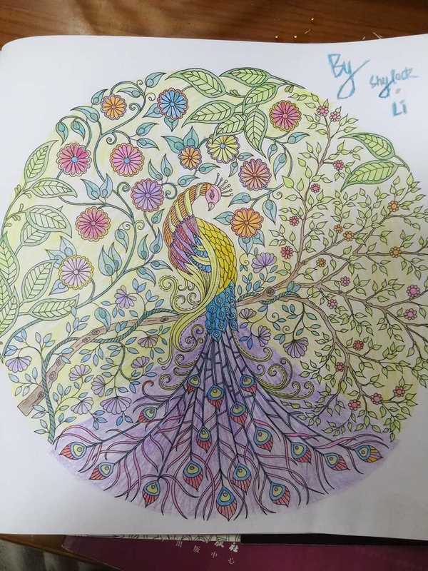 你看到过哪些《秘密花园》中惊艳到你的填色作品?