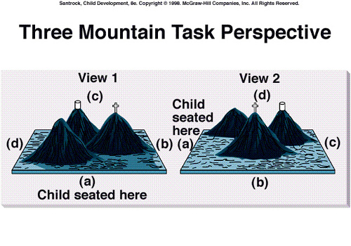 三山实验(three mountain task perspective)