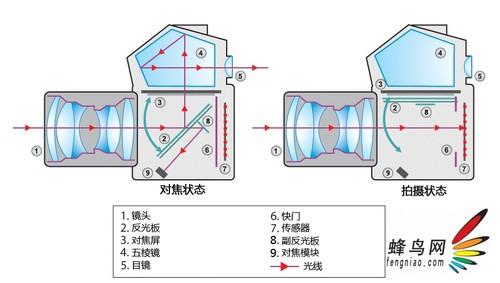 反光板的作用是把光线反射到五菱镜,所以我们才能在取景器上看到被摄