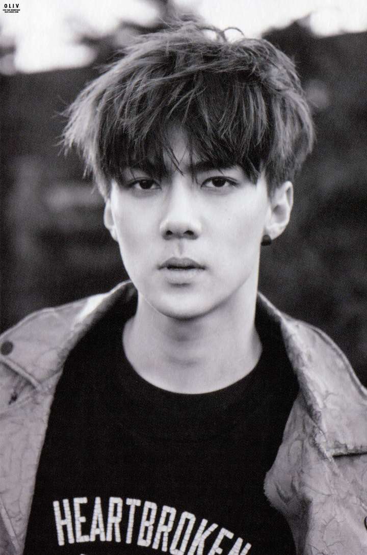 如何评价exo成员吴世勋