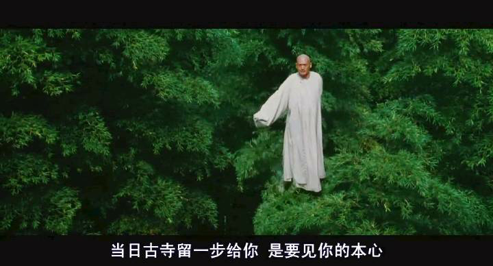 《卧虎藏龙》 竹林那场戏  《英雄》 感觉时时刻刻   发布于 2015-02