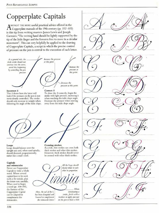 怎么写出好看的花体拉丁字母?