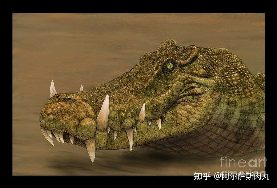 野猪鳄鱼野猪鳄kaprosuchus