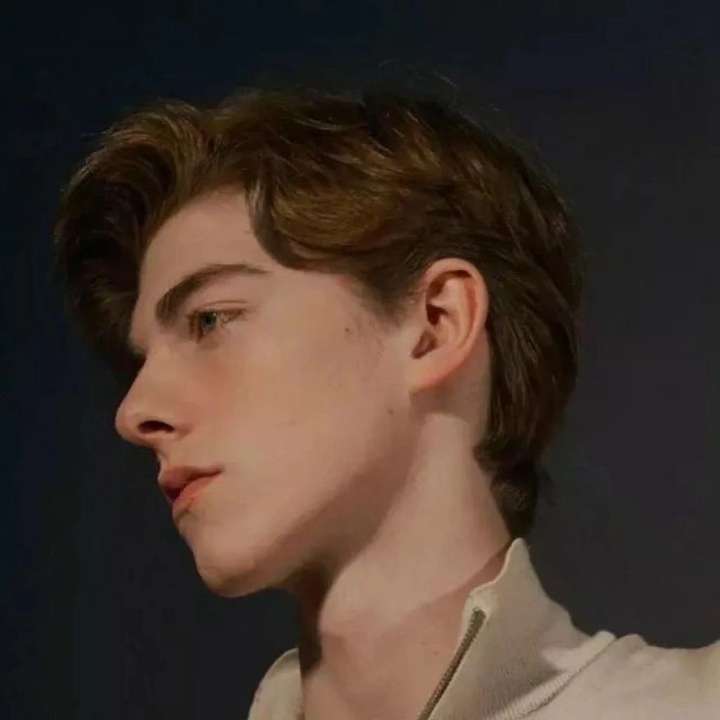 感觉好好看就截图下来了 这哥们图片都贼帅 假笑男孩图片当头像也很