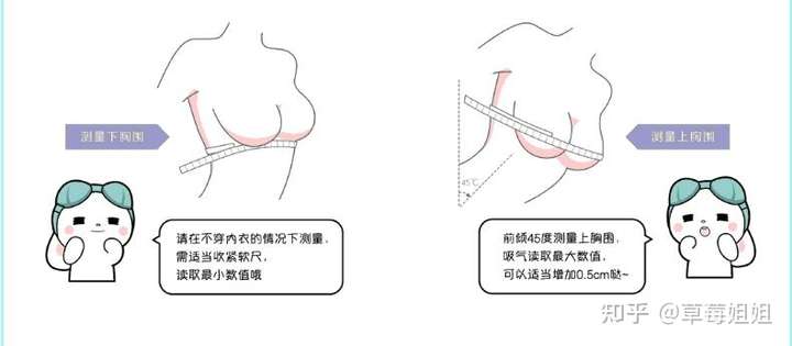 number one:测量胸围(姐妹们的方法很多,按照自己准确的来)