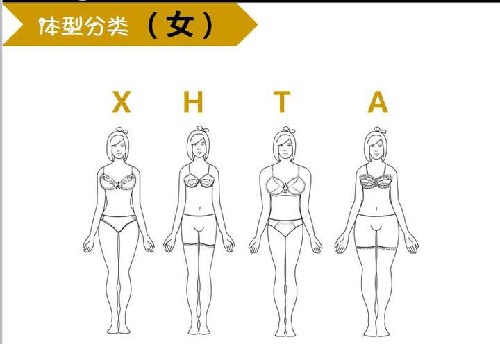 如何准确地识别自己的体型?