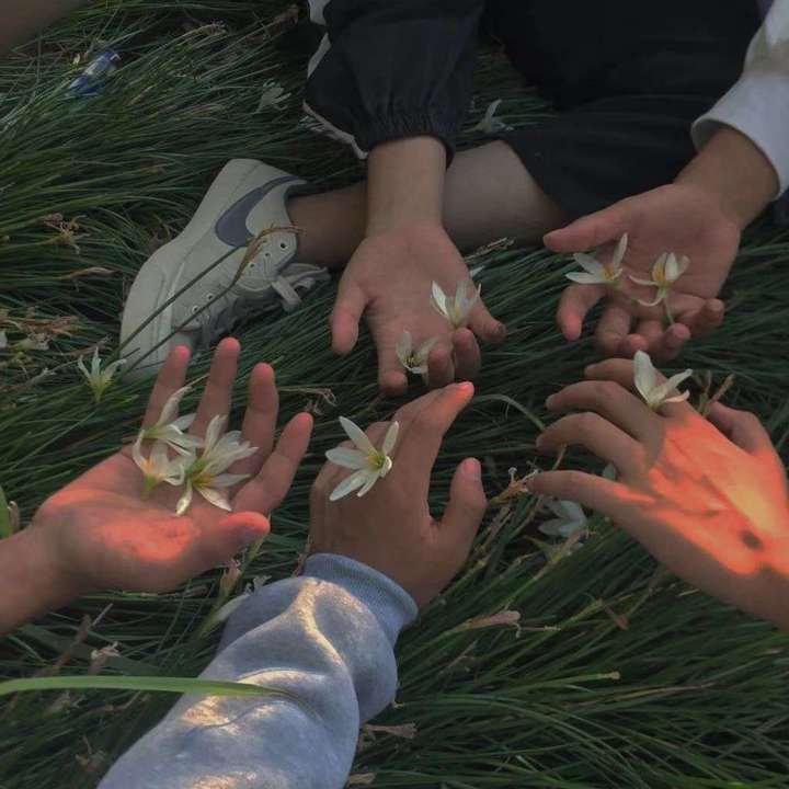 有没有男女都适合的群头像?