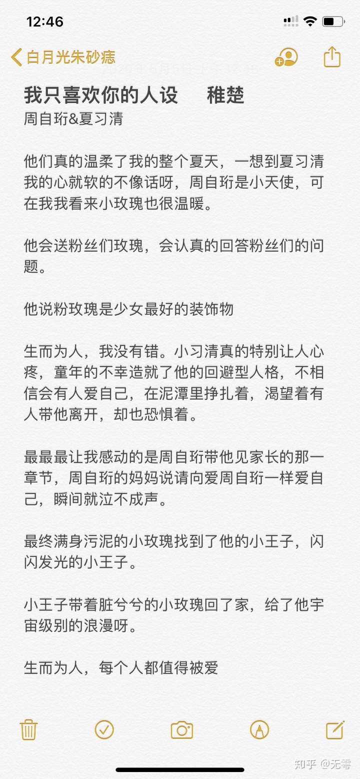 如何评价《我只喜欢你的人设》by稚楚?