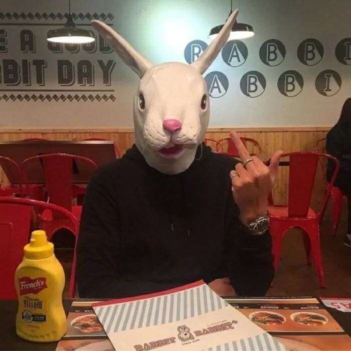 有没有适合男生的兔子头像呀?