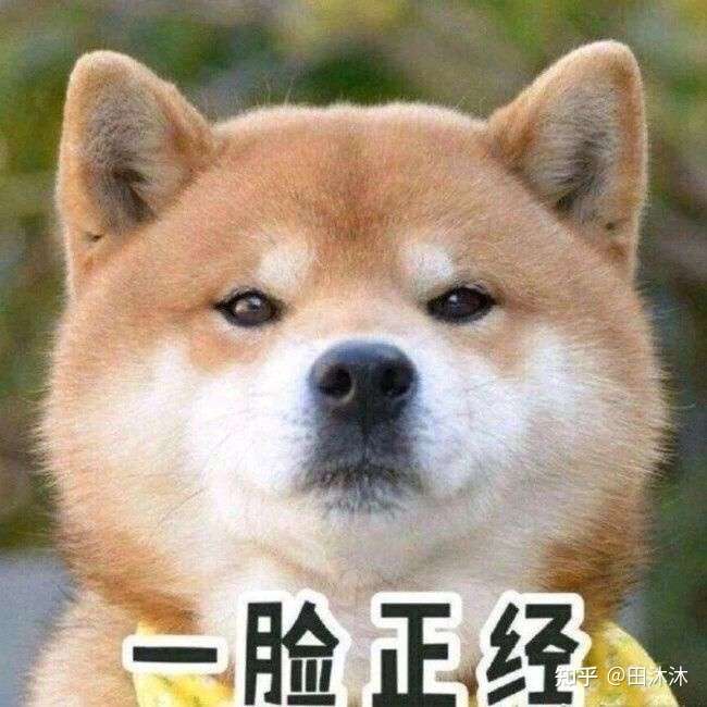 怎样取一个跟自己的姓有关的沙雕网名?