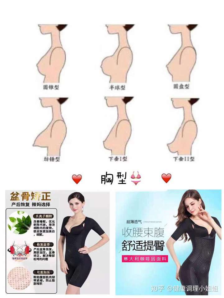 女性的胸部有哪些类型形状?