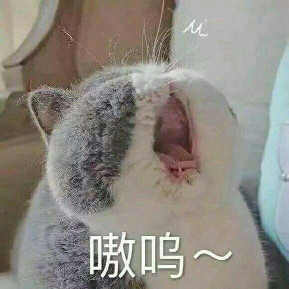 撩男朋友的表情包有哪些呀?