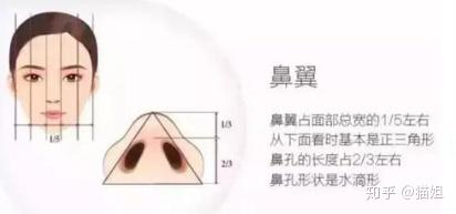 如何判断能不能只单纯做鼻翼?